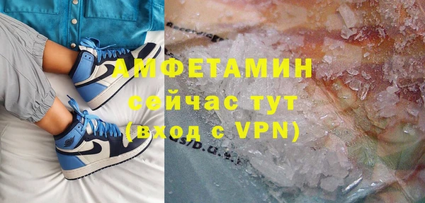 гашик Михайлов